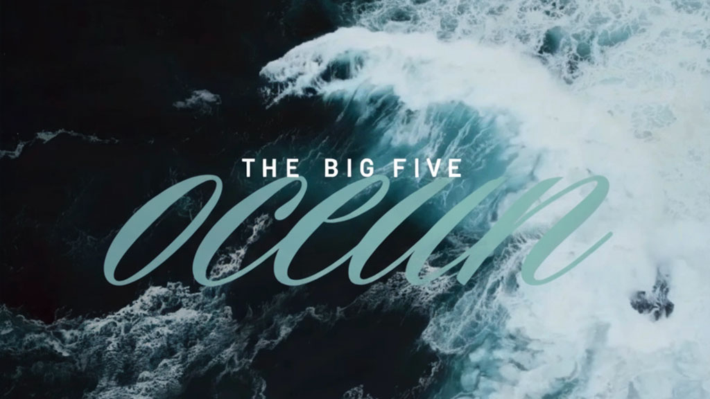 الدليل الشامل لفهم السمات الخمسة الكبرى للشخصية (نموذج OCEAN)